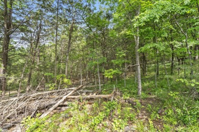 Live the Lake Life You've Always Dreamed Of!Why settle when you on Kimberling City Golf Club in Missouri - for sale on GolfHomes.com, golf home, golf lot