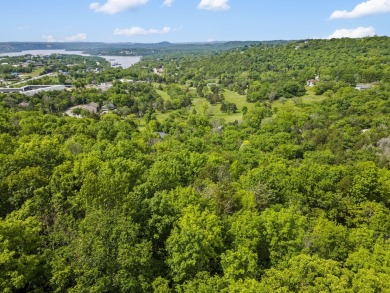 Live the Lake Life You've Always Dreamed Of!Why settle when you on Kimberling City Golf Club in Missouri - for sale on GolfHomes.com, golf home, golf lot