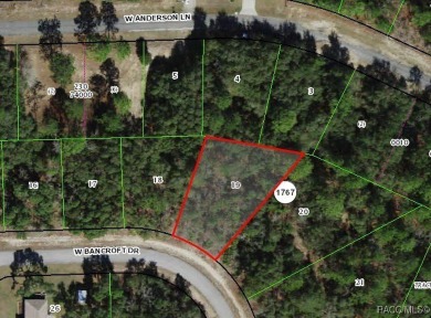 Oversized third-acre homesite in Citrus Springs offering an on Citrus Springs Country Club in Florida - for sale on GolfHomes.com, golf home, golf lot