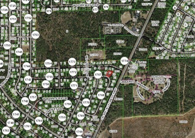 Oversized third-acre homesite in Citrus Springs offering an on Citrus Springs Country Club in Florida - for sale on GolfHomes.com, golf home, golf lot