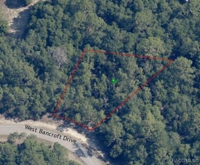 Oversized third-acre homesite in Citrus Springs offering an on Citrus Springs Country Club in Florida - for sale on GolfHomes.com, golf home, golf lot