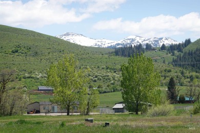Build your dream home with spectacular mountain views in this on Council Mountain Golf Course in Idaho - for sale on GolfHomes.com, golf home, golf lot
