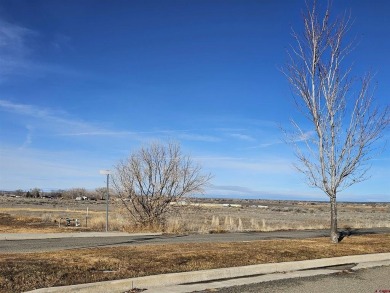 Trena Penrod, United Country Blue Sky Homes and Land, C: , trena on Conquistador Golf Course in Colorado - for sale on GolfHomes.com, golf home, golf lot