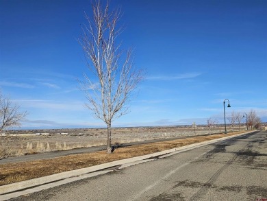 Trena Penrod, United Country Blue Sky Homes and Land, C: , trena on Conquistador Golf Course in Colorado - for sale on GolfHomes.com, golf home, golf lot