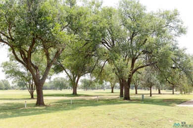 This well-maintained townhome boasts beautiful views of the golf on Chaparral Country Club in New Mexico - for sale on GolfHomes.com, golf home, golf lot