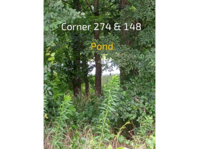 Expansive 35+Acres with Kings Creek Frontage & Development on Kings Creek Golf Club in Texas - for sale on GolfHomes.com, golf home, golf lot