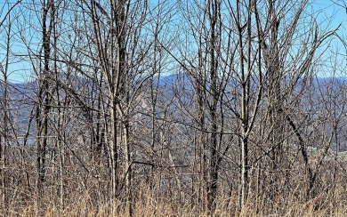 LAKE CHATUGE VIEWS PLUS LUXURY GOLF COURSE LIVING IN THE NORTH on Mountain Harbour Golf Club in North Carolina - for sale on GolfHomes.com, golf home, golf lot