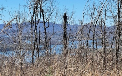 LAKE CHATUGE VIEWS PLUS LUXURY GOLF COURSE LIVING IN THE NORTH on Mountain Harbour Golf Club in North Carolina - for sale on GolfHomes.com, golf home, golf lot