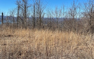 LAKE CHATUGE VIEWS PLUS LUXURY GOLF COURSE LIVING IN THE NORTH on Mountain Harbour Golf Club in North Carolina - for sale on GolfHomes.com, golf home, golf lot