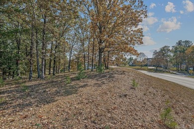 Beautiful corner lot in RidgePointe! Situated at the corner of on RidgePointe Country Club in Arkansas - for sale on GolfHomes.com, golf home, golf lot