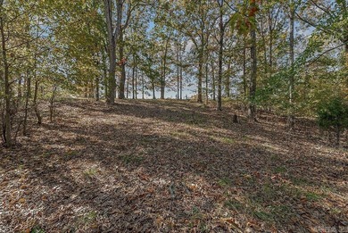 Beautiful corner lot in RidgePointe! Situated at the corner of on RidgePointe Country Club in Arkansas - for sale on GolfHomes.com, golf home, golf lot