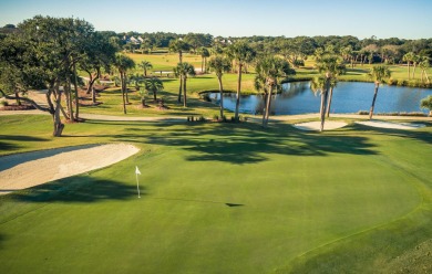 Welcome to 469 Double Eagle Trace, a beautifully designed 2 bed on  in South Carolina - for sale on GolfHomes.com, golf home, golf lot