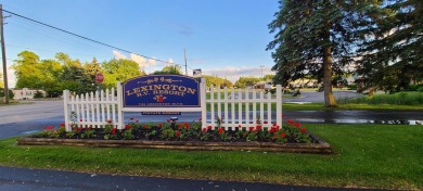 LEXINGTON'S LITTLE SECRET-LEXINGTON RV RESORT offers affordable on Lakeview Hills Country Club and Resort  in Michigan - for sale on GolfHomes.com, golf home, golf lot