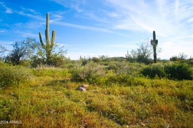 STUNNING SUPERSTITION MOUNTAIN VIEWS FROM THIS PREMIUM 5 ACRE on Superstition Mountain Club - Lost Gold in Arizona - for sale on GolfHomes.com, golf home, golf lot