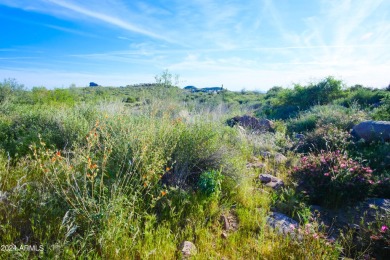 STUNNING SUPERSTITION MOUNTAIN VIEWS FROM THIS PREMIUM 5 ACRE on Superstition Mountain Club - Lost Gold in Arizona - for sale on GolfHomes.com, golf home, golf lot