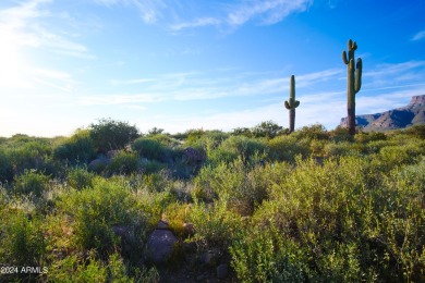 STUNNING SUPERSTITION MOUNTAIN VIEWS FROM THIS PREMIUM 5 ACRE on Superstition Mountain Club - Lost Gold in Arizona - for sale on GolfHomes.com, golf home, golf lot