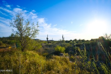 STUNNING SUPERSTITION MOUNTAIN VIEWS FROM THIS PREMIUM 5 ACRE on Superstition Mountain Club - Lost Gold in Arizona - for sale on GolfHomes.com, golf home, golf lot