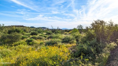 STUNNING SUPERSTITION MOUNTAIN VIEWS FROM THIS PREMIUM 5 ACRE on Superstition Mountain Club - Lost Gold in Arizona - for sale on GolfHomes.com, golf home, golf lot