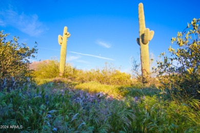 STUNNING SUPERSTITION MOUNTAIN VIEWS FROM THIS PREMIUM 5 ACRE on Superstition Mountain Club - Lost Gold in Arizona - for sale on GolfHomes.com, golf home, golf lot