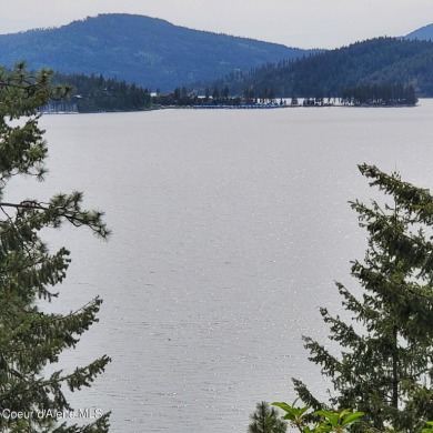 Come see the beautiful canvas that could be your panoramic on Coeur D Alene Resort Golf Course in Idaho - for sale on GolfHomes.com, golf home, golf lot