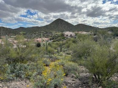 Beautiful residential lot to build your dream home in the on Starr Pass Golf Club in Arizona - for sale on GolfHomes.com, golf home, golf lot