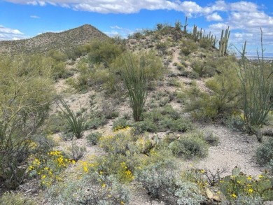 Beautiful residential lot to build your dream home in the on Starr Pass Golf Club in Arizona - for sale on GolfHomes.com, golf home, golf lot