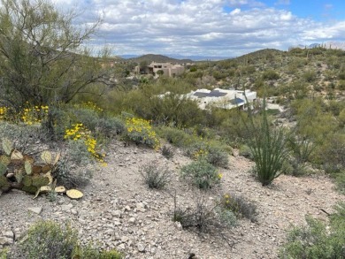 Beautiful residential lot to build your dream home in the on Starr Pass Golf Club in Arizona - for sale on GolfHomes.com, golf home, golf lot