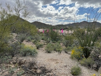 Beautiful residential lot to build your dream home in the on Starr Pass Golf Club in Arizona - for sale on GolfHomes.com, golf home, golf lot