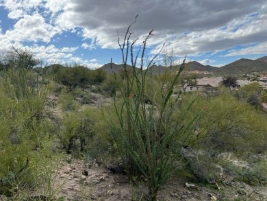 Beautiful residential lot to build your dream home in the on Starr Pass Golf Club in Arizona - for sale on GolfHomes.com, golf home, golf lot