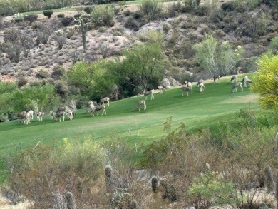 Beautiful residential lot to build your dream home in the on Starr Pass Golf Club in Arizona - for sale on GolfHomes.com, golf home, golf lot