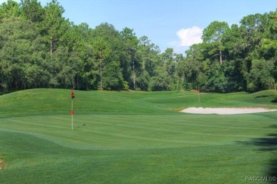 SIDE BY SIDE LOTS AVAILABLE. 2796 W XENOX DR IS AVAILABLE FOR A on Pine Ridge Community Golf and Country Club in Florida - for sale on GolfHomes.com, golf home, golf lot