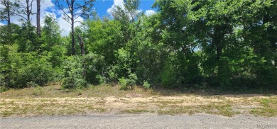 Price is firm on this .31 acre lot located in the well on Citrus Springs Country Club in Florida - for sale on GolfHomes.com, golf home, golf lot
