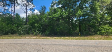 Price is firm on this .31 acre lot located in the well on Citrus Springs Country Club in Florida - for sale on GolfHomes.com, golf home, golf lot
