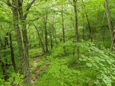 Welcome to Wolf Laurel, a 5,300 acre nature lovers paradise on Wolf Laurel Country Club in North Carolina - for sale on GolfHomes.com, golf home, golf lot