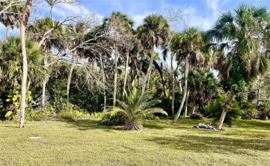 Under contract-accepting backup offers. Owner financing is on Pelican Pointe Golf and Country Club in Florida - for sale on GolfHomes.com, golf home, golf lot