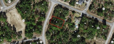 23 acre lot/homesite 80 by 125 feet that is ready to build your on Pine Ridge Community Golf and Country Club in Florida - for sale on GolfHomes.com, golf home, golf lot