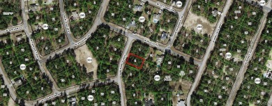 23 acre lot/homesite 80 by 125 feet that is ready to build your on Pine Ridge Community Golf and Country Club in Florida - for sale on GolfHomes.com, golf home, golf lot