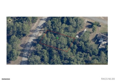 23 acre lot/homesite 80 by 125 feet that is ready to build your on Pine Ridge Community Golf and Country Club in Florida - for sale on GolfHomes.com, golf home, golf lot