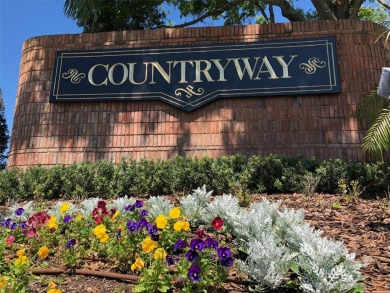 Under contract-accepting backup offers. Back on the market on Countryway Golf Course in Florida - for sale on GolfHomes.com, golf home, golf lot