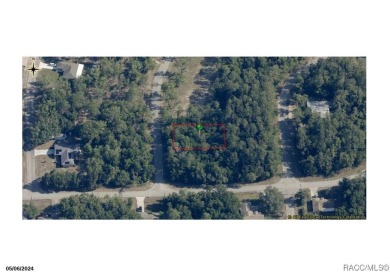 23 acre lot/homesite 80 by 125 feet that is ready to build your on Citrus Springs Country Club in Florida - for sale on GolfHomes.com, golf home, golf lot