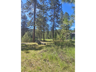 If you're looking for the golf course lifestyle with a touch of on Chewelah Golf and Country Club  in Washington - for sale on GolfHomes.com, golf home, golf lot