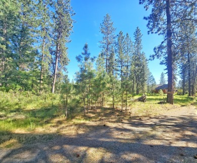 If you're looking for the golf course lifestyle with a touch of on Chewelah Golf and Country Club  in Washington - for sale on GolfHomes.com, golf home, golf lot