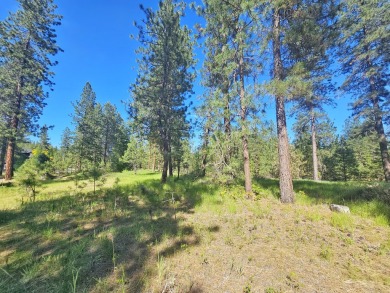 If you're looking for the golf course lifestyle with a touch of on Chewelah Golf and Country Club  in Washington - for sale on GolfHomes.com, golf home, golf lot