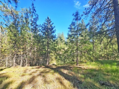 If you're looking for the golf course lifestyle with a touch of on Chewelah Golf and Country Club  in Washington - for sale on GolfHomes.com, golf home, golf lot