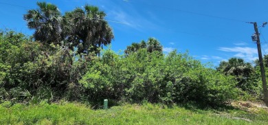 Nestled on cul-de-sac in Rotonda Heights, Florida, this vacant on Rotonda Golf and Country Club The Palms Course in Florida - for sale on GolfHomes.com, golf home, golf lot