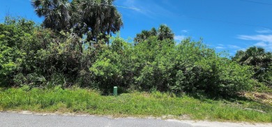 Nestled on cul-de-sac in Rotonda Heights, Florida, this vacant on Rotonda Golf and Country Club The Palms Course in Florida - for sale on GolfHomes.com, golf home, golf lot