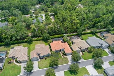 Welcome to this exquisite, well-appointed, custom estate home! on Skyview At Terra Vista Golf and Country Club in Florida - for sale on GolfHomes.com, golf home, golf lot