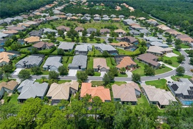 Welcome to this exquisite, well-appointed, custom estate home! on Skyview At Terra Vista Golf and Country Club in Florida - for sale on GolfHomes.com, golf home, golf lot