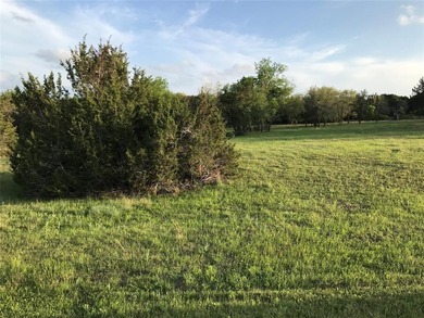 Everyone is looking for 1 AC or more and this one fits the bill on White Bluff Resort - Old Course in Texas - for sale on GolfHomes.com, golf home, golf lot