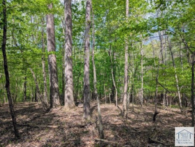 Located in Patrick County, this 12.15 acre tract offers rolling on Gordon Trent Golf Course, Inc. in Virginia - for sale on GolfHomes.com, golf home, golf lot
